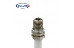 China Commercial Industrial Spark Plug For  CUMMINS GUASCOR Jenbacher Wakesha supplier