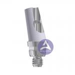 ITI Straumann Tissue Level Synocta® Titanium Angled Abutment  RN 4.8mm/ WN 6.5mm -- 15°/25° Degree for sale