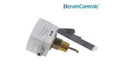 China IP65 SPDT Paddle Water Flow Switch 15A Heating Conditioning supplier
