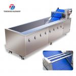 240KG Coriander Dandelions Vegetable Washing Line , ozone generator Fruit And Vegetable Cleaner Machine for sale