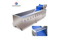 China SUS304 Ozone Treatment  Fruit And Vegetable Washing Machine Cherry Tomato supplier