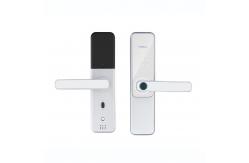 China Unlock Method Tuya TTlock Password Fingerprint Smart Locks For Home supplier