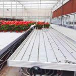 Practical Customizable Greenhouse Rolling Tables Movable Design Pc Sheet Cover for sale