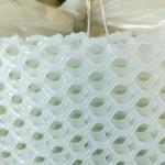 Green And White PE Plastic Flat Netting Mesh for Farm Chicken Fencing