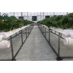Greenhouse Hydroponic Vertical NFT Hydroponic System Soilless Vegetable Planting Troughs