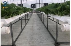 China Greenhouse Hydroponic Vertical NFT Hydroponic System Soilless Vegetable Planting Troughs supplier