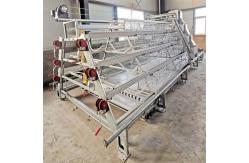 China 200 Chickens / Set Poultry Chicken Cage Coops Animal Farming Tools And Functions supplier