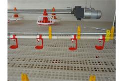China Broiler Automatic Poultry Drinker Nipple Cup Drinker System supplier