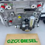 Original Fuel Injection Pump 400912-00400 BHF6P120056 for Excavator P126TI