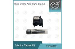 China 7135-812 Delphi Injector Repair Kit Nozzle Valve Kit Nozzle CVA Kit supplier
