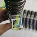 21569200 Common Rail Fuel Injector For D13 Diesel Engine