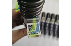 China 21569200 Common Rail Fuel Injector For D13 Diesel Engine supplier