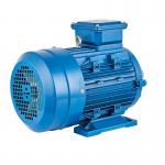 160kw Variable Speed Synchronous Motor for sale