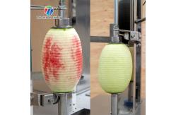 China 2000KG/H Pumpkin Watermelon Splitting Machine Cabbage Sectioning Machine supplier