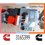 Diesel Injection For Cummins NTA855 Fuel Pump 3165399 3074835 3074843