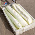 Restaurant Catering Factory Vegetable Processing Machine Melon Separator Cutter