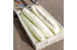 China Restaurant Catering Factory Vegetable Processing Machine Melon Separator Cutter supplier