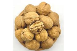 China Happy Inner Mongolia Walnuts Halves and Pieces, 40 Ounce walnuts kernels supplier