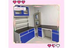 China Customized Made Chemical Lab Workbenches With Wooden Base Cabinet Epoxy Resin Sink supplier