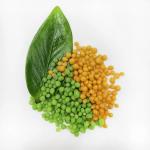 High Efficiency And Excellent Compound Fertilizer NPK 16-22-0 With Excellent Quality for sale