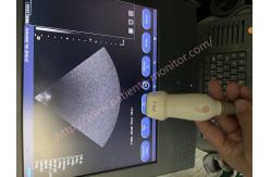 China Ultrasonic Phased Array Transducer Probe P4-2 Siemens ACUSON X300 supplier