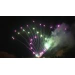 Mandarin 100 Shots Christmas Festival Cake Fireworks Outdoor Professional for sale
