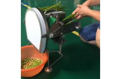 China Single Head Multifunction Vegetable Cutting Machine Chopped Green Onion 220V Easy To Operate supplier