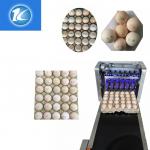 Date / Number Egg Batch Coding Machine With 0 - 5mm Printing Distance
