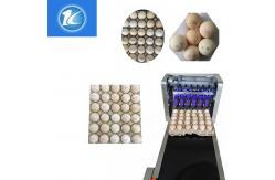 China Date / Number Egg Batch Coding Machine With 0 - 5mm Printing Distance supplier
