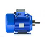 Eco Friendly Natural Cooling 380V 3 Phase AC Motor 2 Pole Permanent Magnet Motor for sale
