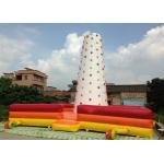 Manufacturer Inflatable Climbing Mountain Rock Climbing Wall With Fence Around for sale