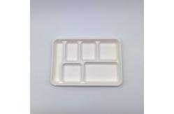 China 6 Compartment Disposable Plates Biodegradable Divided Rectangle Tray supplier