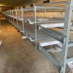Automatic Broiler Cage With Poultry Drinking System for sale