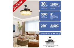China 230V Midcentury Design Warm Lighting Ceiling Fan with Hidden Blades and Remote Control supplier