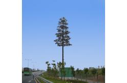 China 60m Self Supporting Disguised Cell Phone Towers supplier