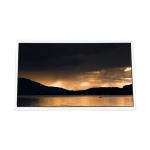 LCD Screen 19.0 inch HT190WG3-101 LCD Panel for Desktop Monitor for sale