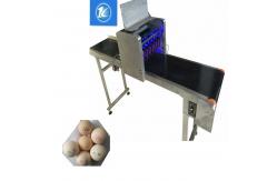China Date Code Egg Marking Equipment With 90 -120 Eggs / Min Printing Speed supplier