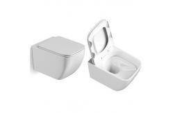 China Washdown P Trap Wall Hung Toilet Elongated With Concealed Cistern supplier