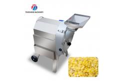 China Multifunctional Carrot Bulbous Vegetable Processing Machine Paprika supplier