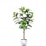120cm 160cm Artificial Ficus Lyrata House Floor Plants Evergreen Refreshing Plants