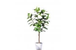 China 120cm 160cm Artificial Ficus Lyrata House Floor Plants Evergreen Refreshing Plants supplier