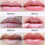Custom Vegan Anti Wrinkle Konjac Lip Patch Cruelty Free for sale