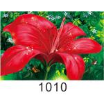 0.6mm PET+157g Coated Paper 3D Lenticular Pictures With 40*60cm Size for sale
