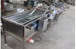 China Automatic Ozone Air Bubble Vegetable Washing Machine For Tomato Celery Salad supplier