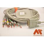 Ambisea 10 Lead ECG Cable For AV-9100 9300 9600 9120 EKG Machine for sale