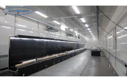 China Open Showcase Chiller manufacturer
