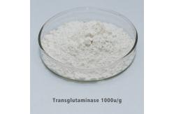 China Grilled Intestine Adhesive Transglutaminase Enzyme Providing Enzyme Preparation Sample Customized Enzyme Activity supplier