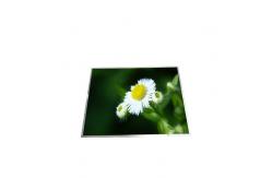 China B150XG01 V8 15.0 inch 1024*768 LCD Display TFT-LCD SCREEN supplier