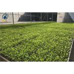Agricultural Wire Mesh Rolling Grow Tables Greenhouse Hydroponic Rolling Benches for sale