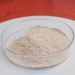Pepsin Enzyme 3000NF/Mg Pepsin Manufacturers Customized Food Grade Pharmaceutical Grade for sale